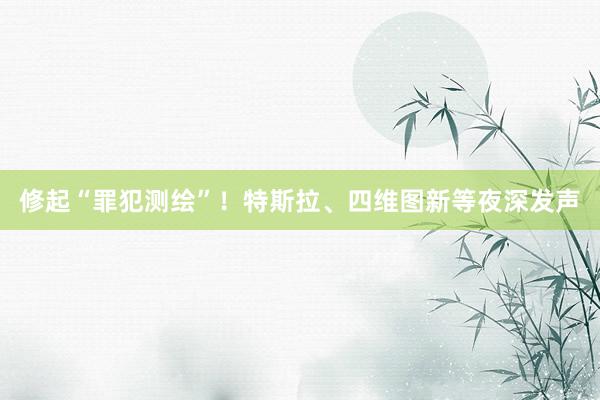 修起“罪犯测绘”！特斯拉、四维图新等夜深发声