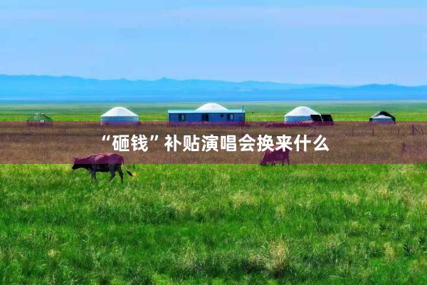 “砸钱”补贴演唱会换来什么
