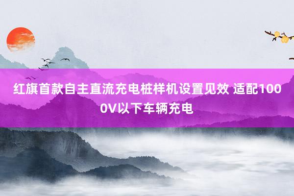 红旗首款自主直流充电桩样机设置见效 适配1000V以下车辆充电